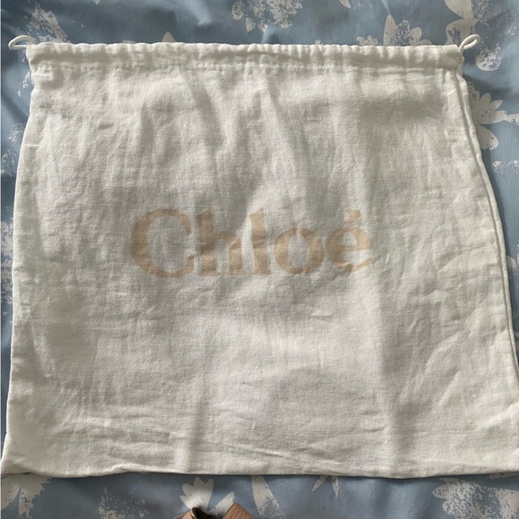 Small Chloe Drew bag in Cement Pink - Picture 15 of 15